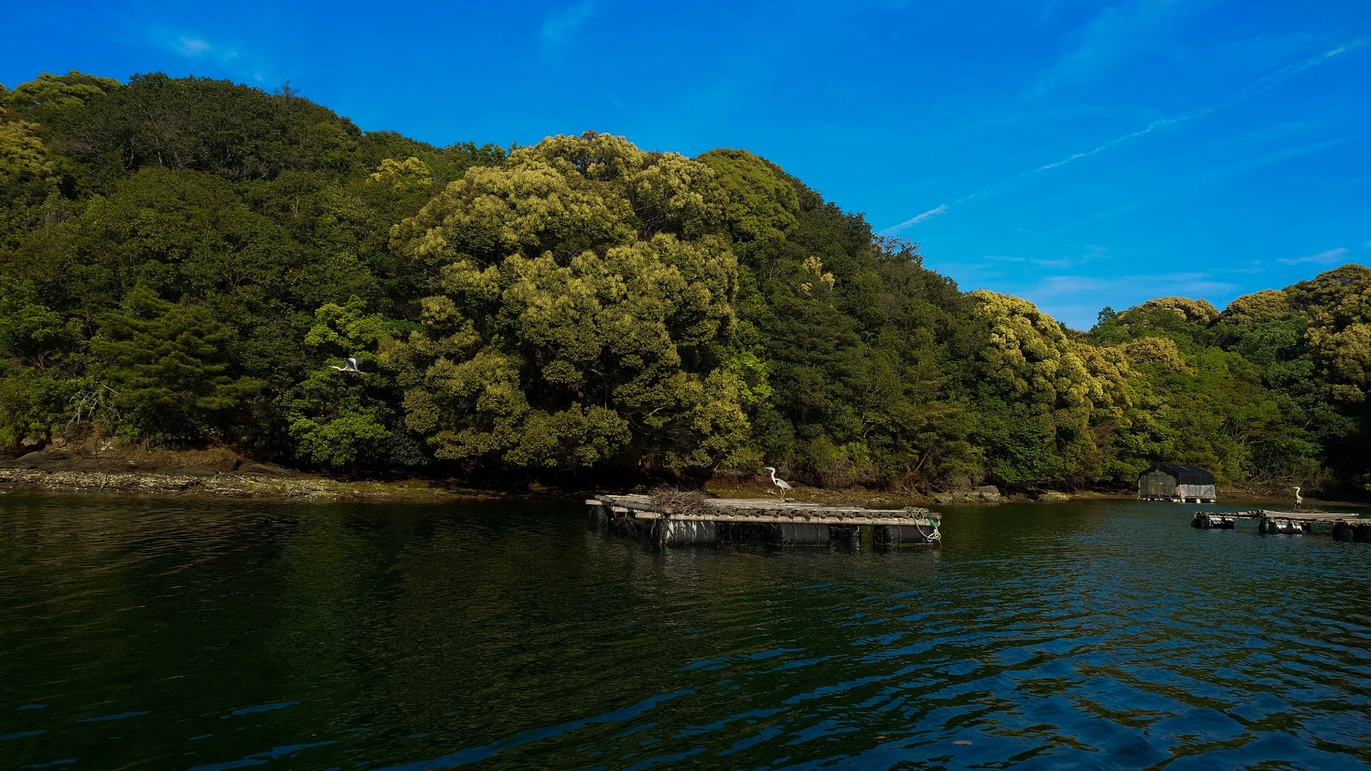 船から望む、大村湾の島々