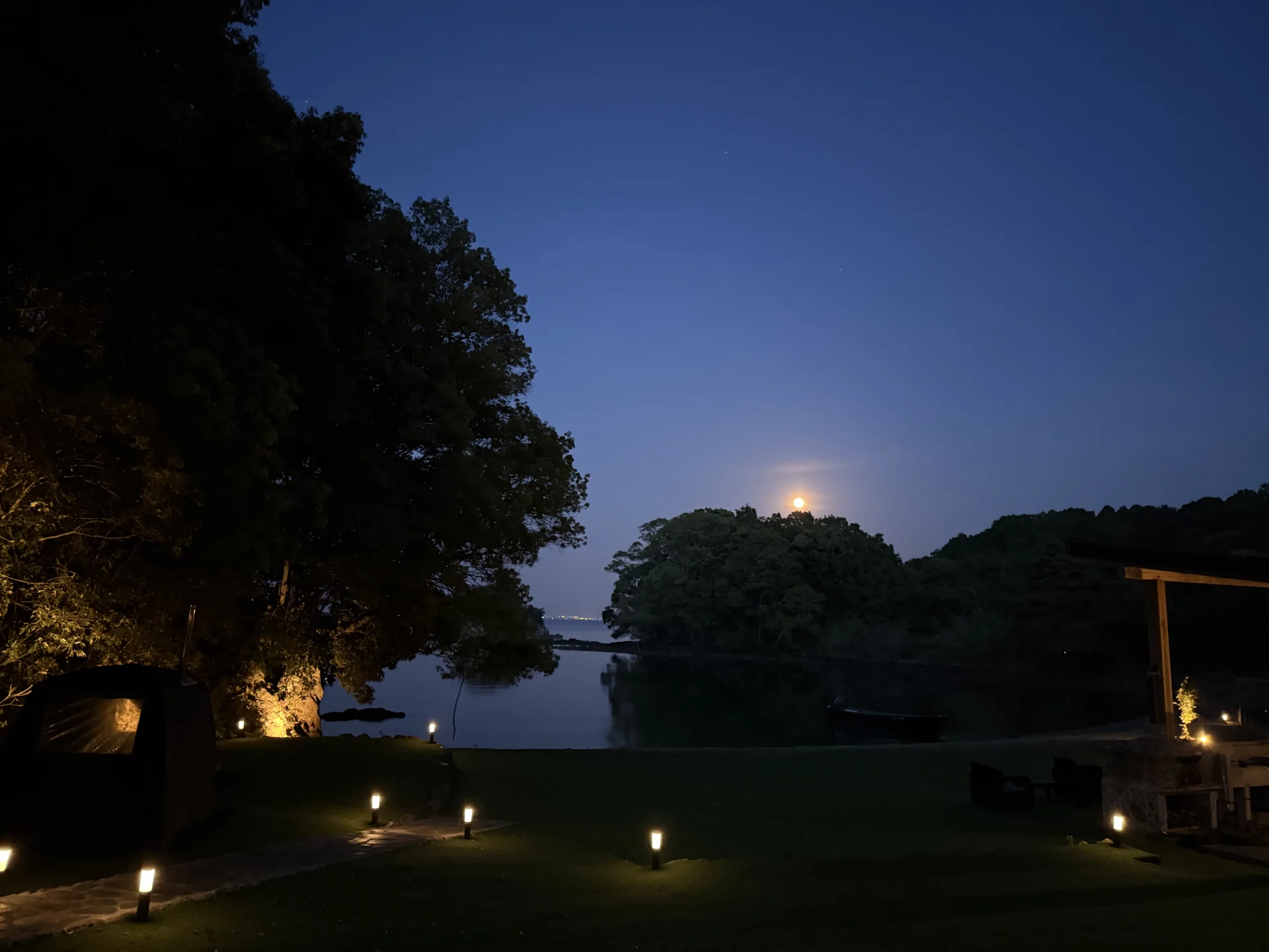 島の木々の向こうに昇る月と、夜の芝生